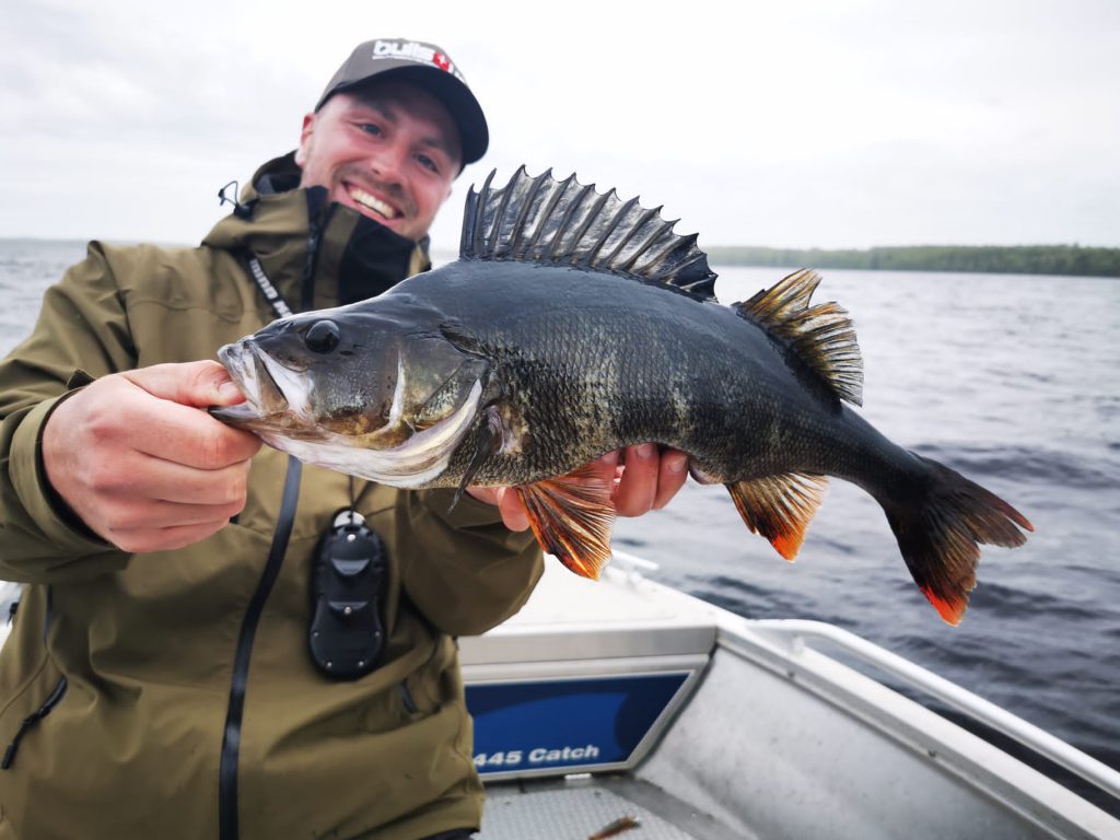 Smaland Sportfiske Mien Gewässer Barsch Angeln Schweden Mien Hecht