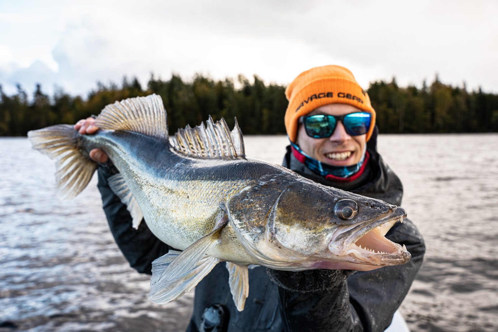 Angler mit Zander beim Angelguiding auf dem Åsnen – Småland Sportfiske