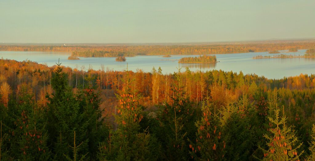 Blick von oben über die Inselwelt des Åsnen bei Kurrebo